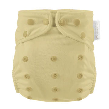 Modern Cloth AIO nappy