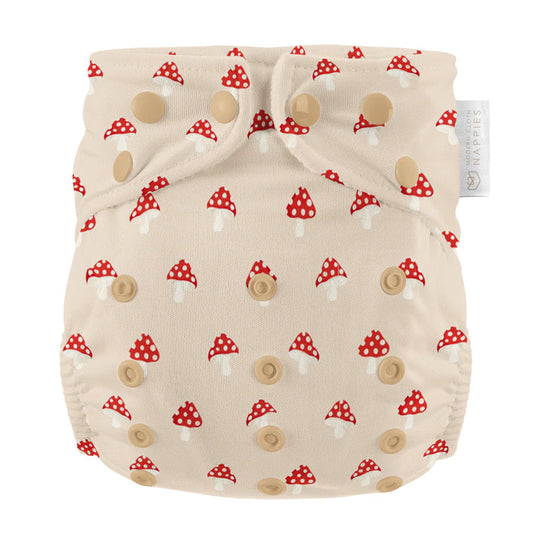 Modern Cloth AIO nappy