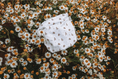 Load image into Gallery viewer, Teddy Hug Lítill blautpoki
